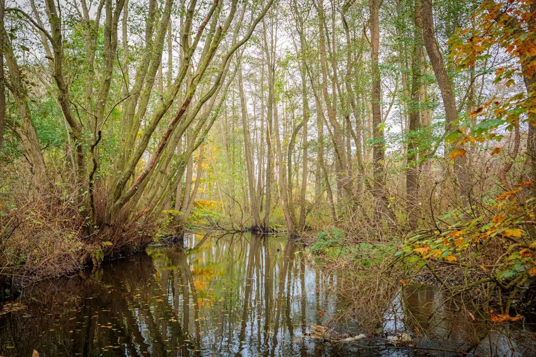 Glamping Mecklemburgo-Pomerania