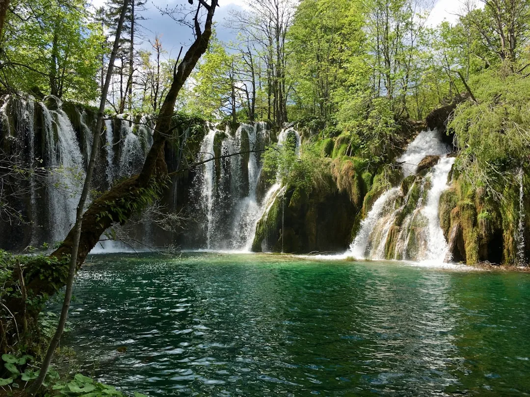 Glamping Condado de Primorje-Gorski Kotar