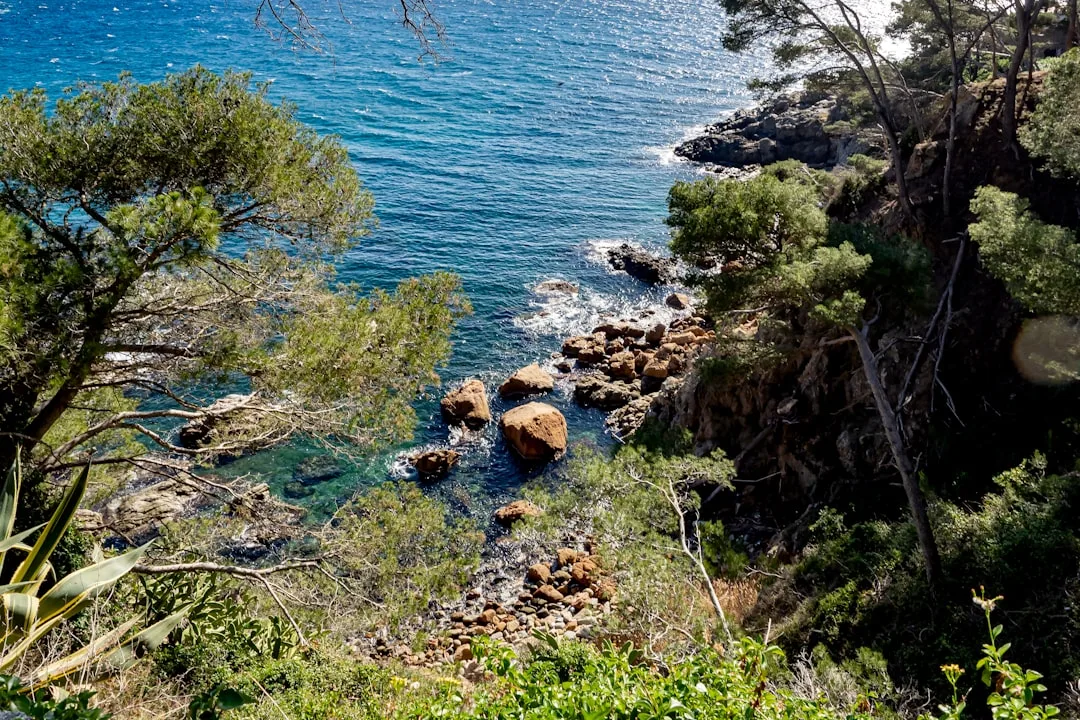 Playas y calas del Mediterráneo