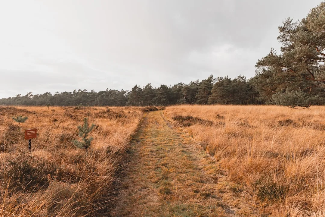 Parque Nacional del Veluwe