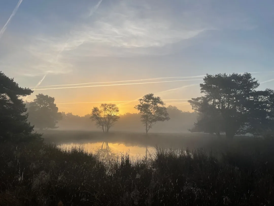 Lagos de Masuria y naturaleza lacustre