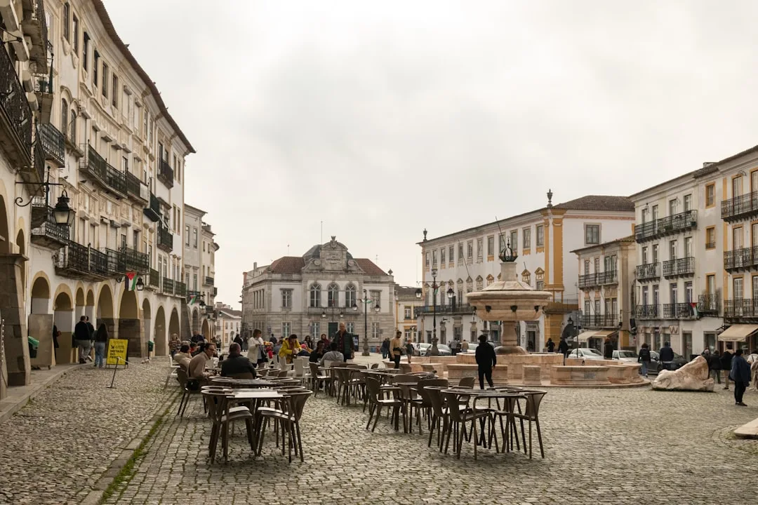Vinos del Alentejo y enoturismo