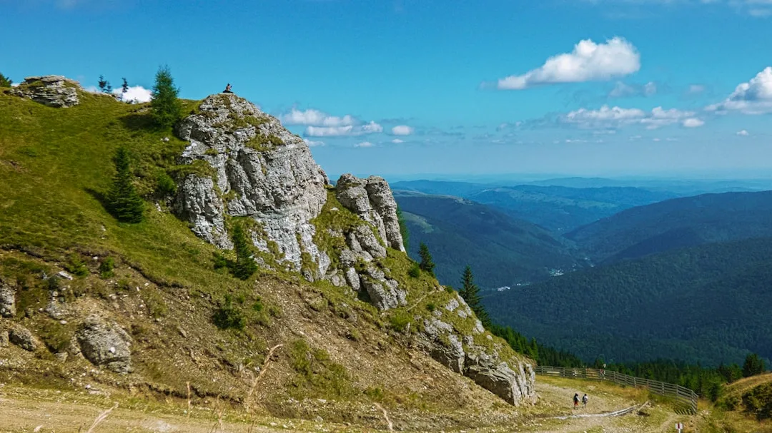 Bosques vírgenes y senderismo