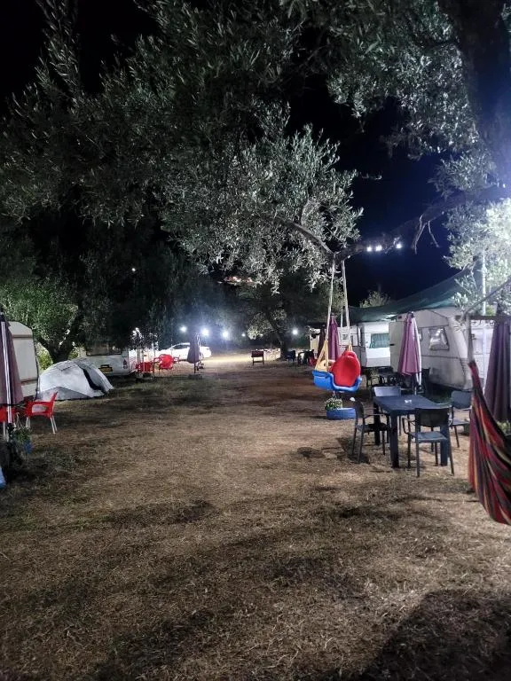 Aquariumi Jale Camping