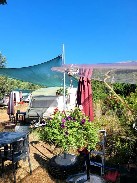 Aquariumi Jale Camping
