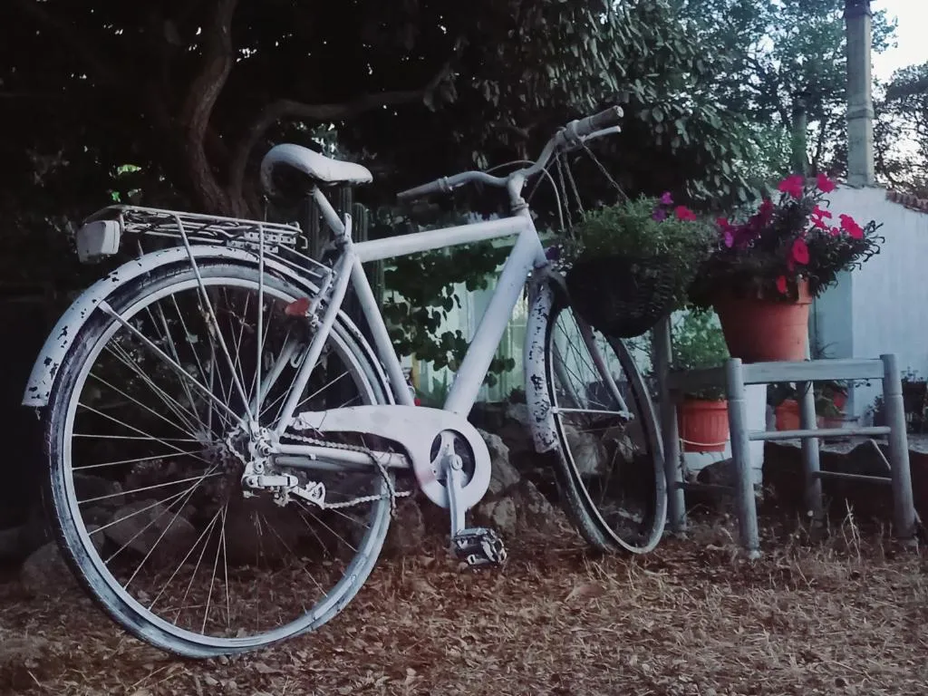 Azienda Agricola Veldidonna