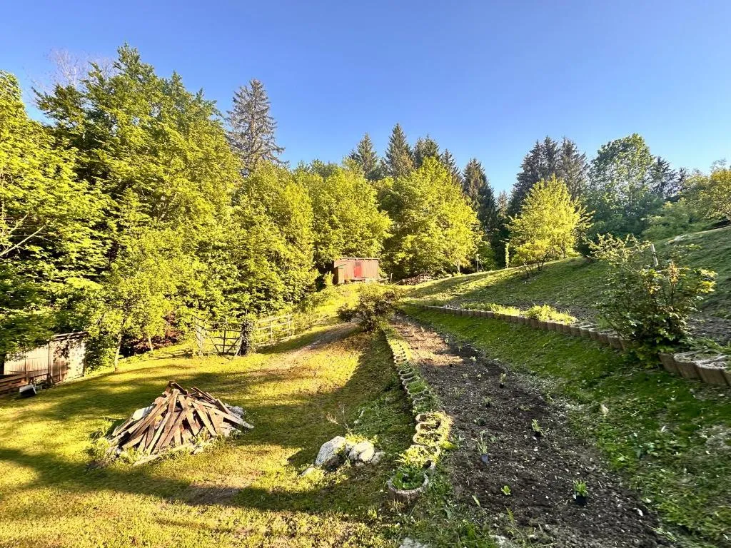 Bauwagen mit Bergblick