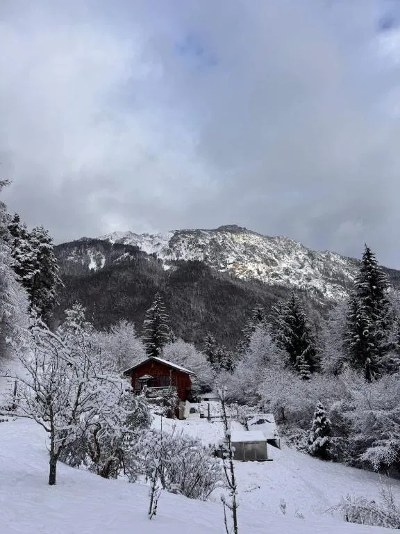 Bauwagen mit Bergblick
