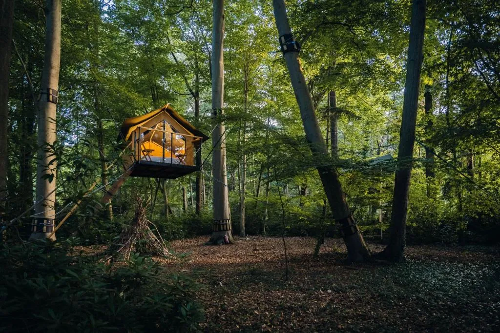 Boomkamp treehouses