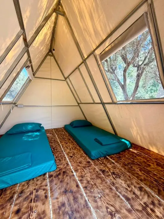 Borsh Olive Camping