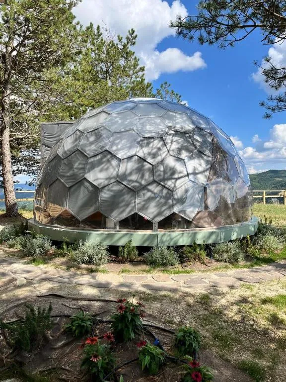 Bubble Room Experience