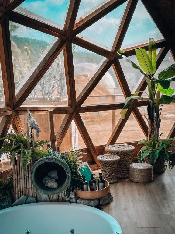 Bubble Suites