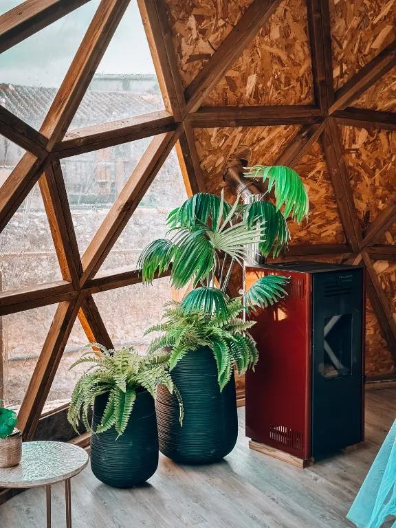 Bubble Suites