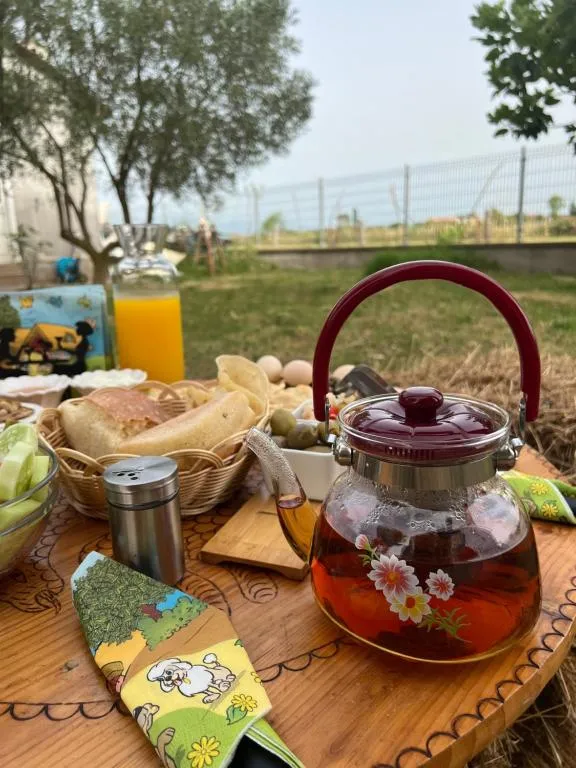Camping villa lake shkodra