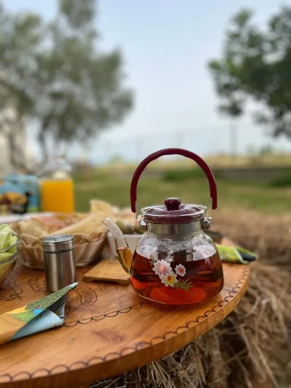 Camping villa lake shkodra