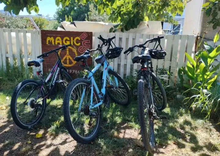 Cornelia Hippie Magic Bus