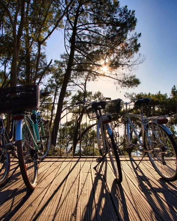 Cottage Prestige 641