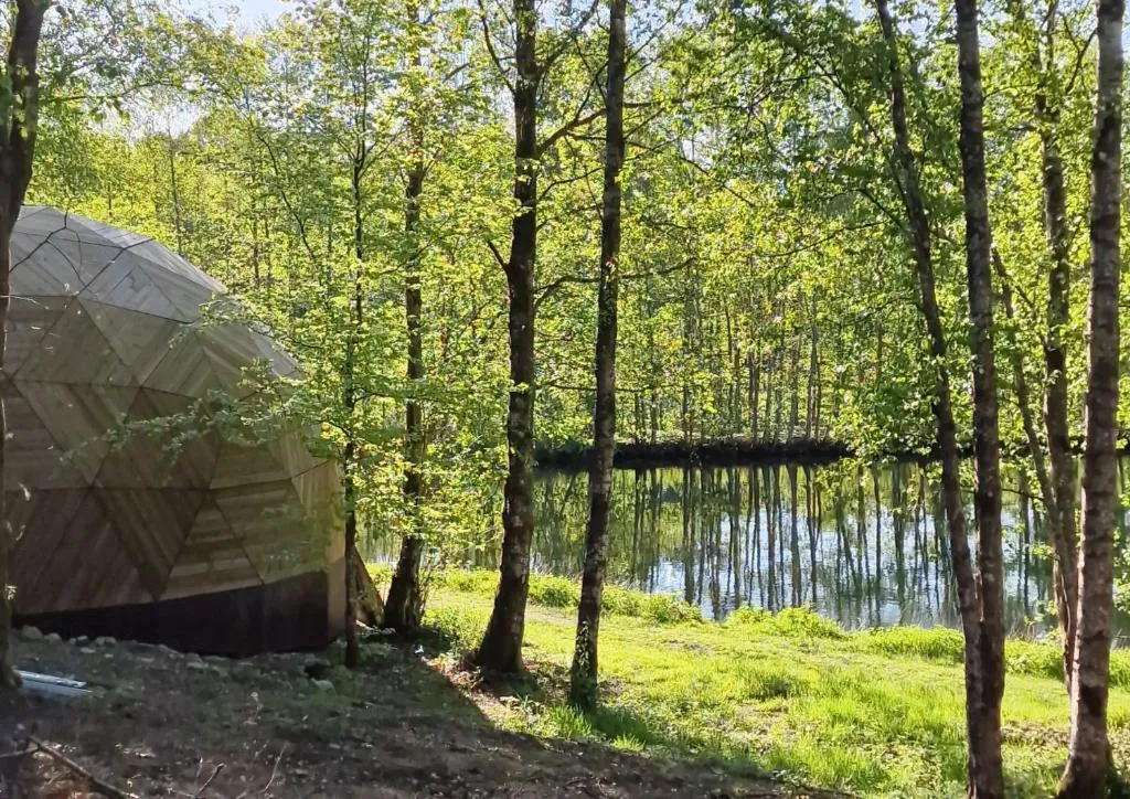 Dôme géodésique exceptionnel en pleine nature