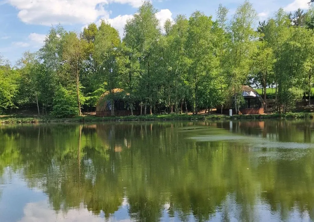 Dôme géodésique exceptionnel en pleine nature