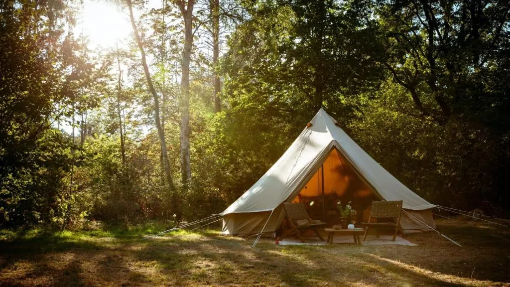 Eco Farm Camping 'de Waeldernis'
