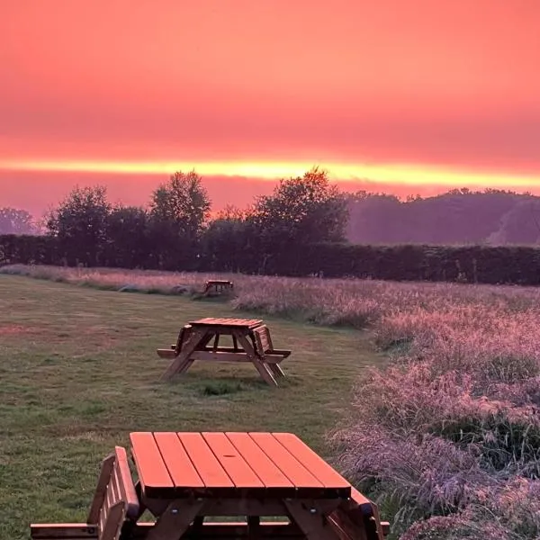 Erve Zonnehoeve Minicamping en Wijngaard