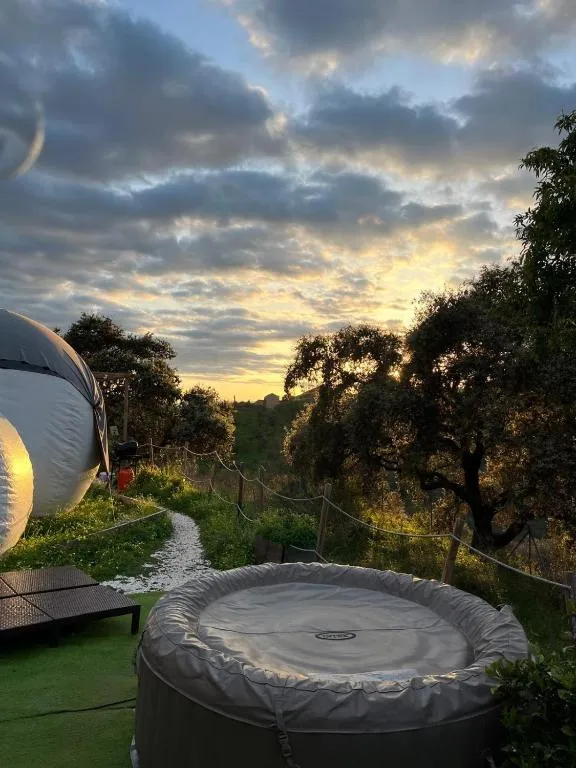 Glamping Burbuja Los Almendros