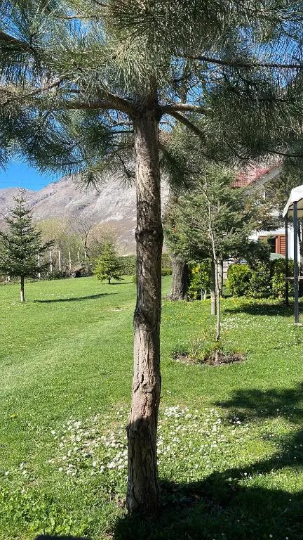 Paja Guesthouse - Camping