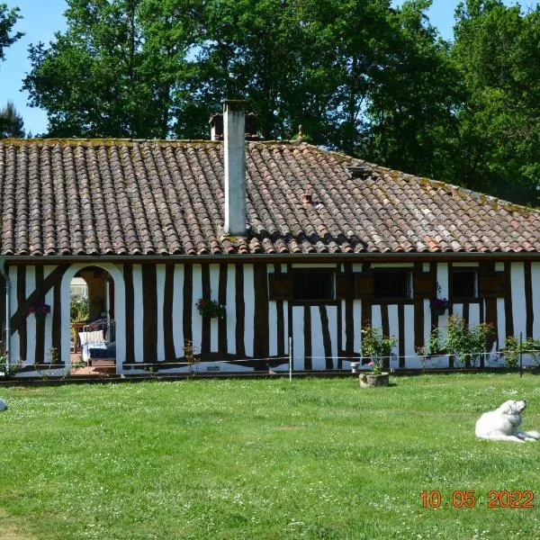 LA GRANDE JAOUGUE