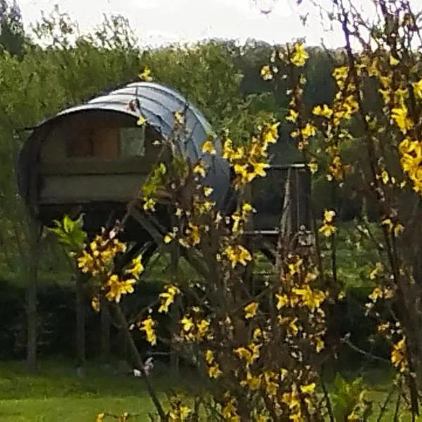 La haut