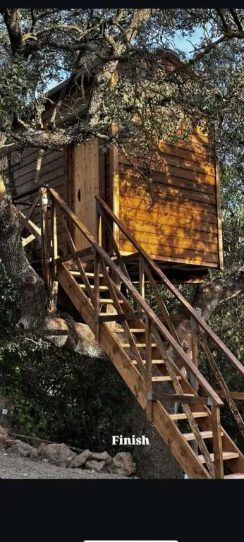 Cabaña del árbol Lavagarural