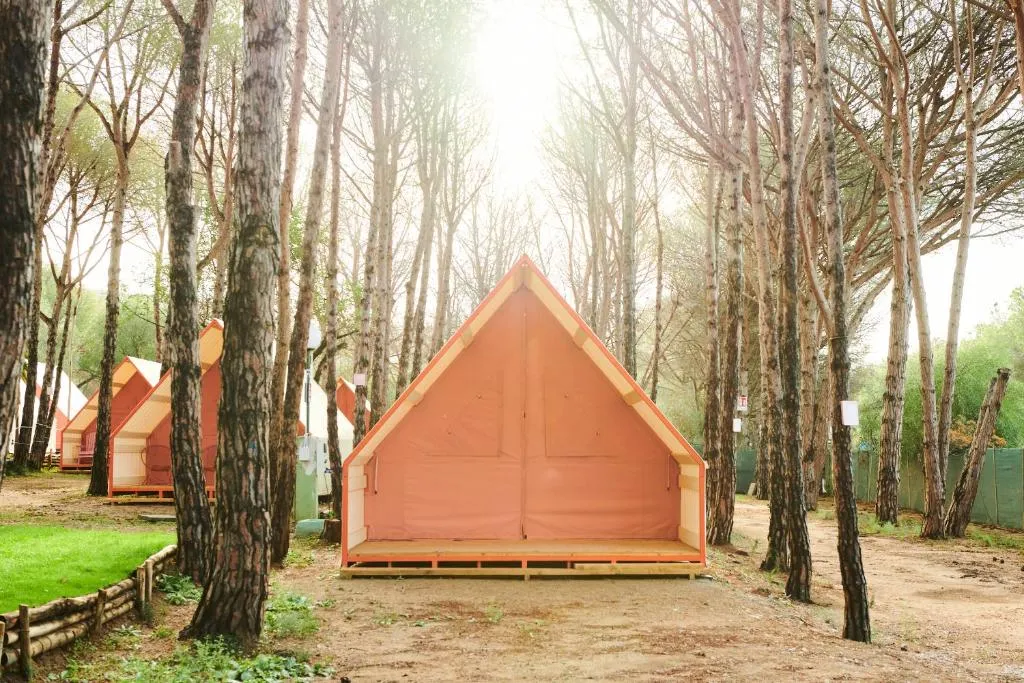 LAVITA Camp