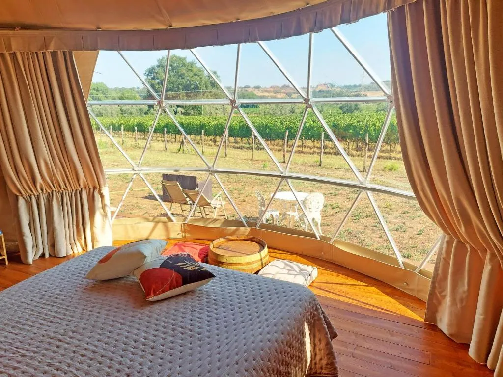 Le Stelle di Elisa - Wine & Truffle Glamping