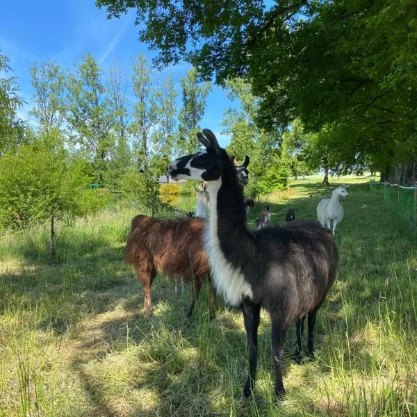 La Ferme des Lamas Dordogne