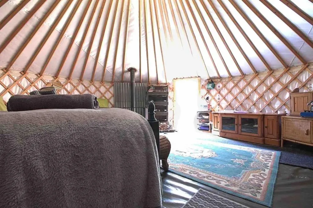 Magical Forest yurt
