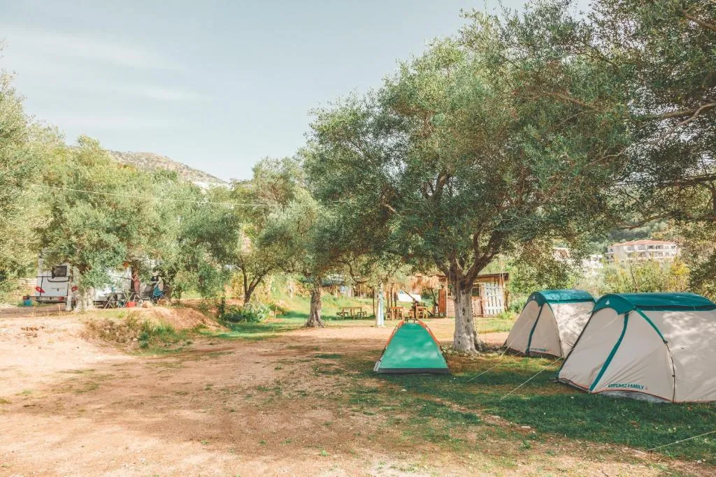 Unique Stay at Olive Camping