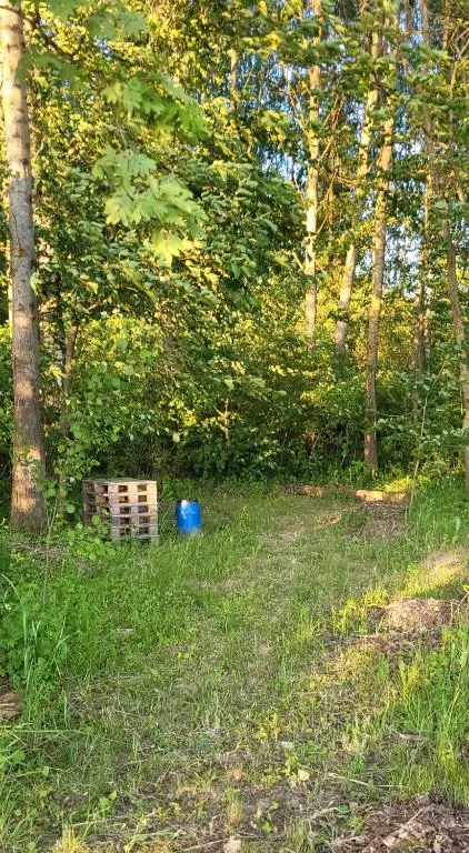 Place for tent