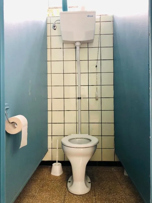 Schwedischer Shelter unter Buchen