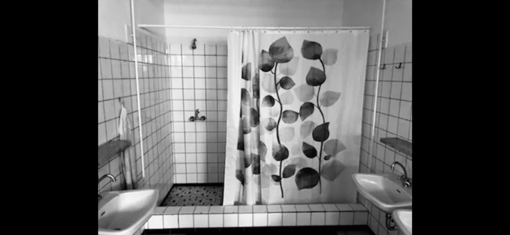 Schwedischer Shelter unter Buchen