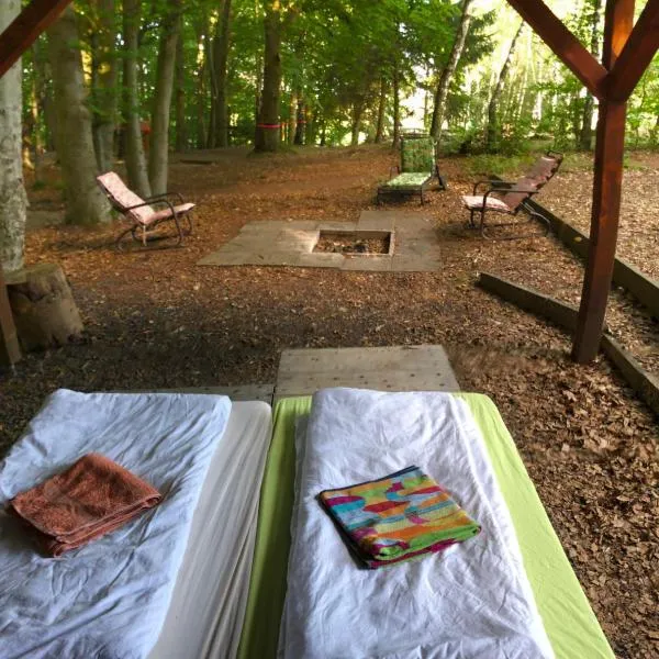 Schwedischer Shelter unter Buchen