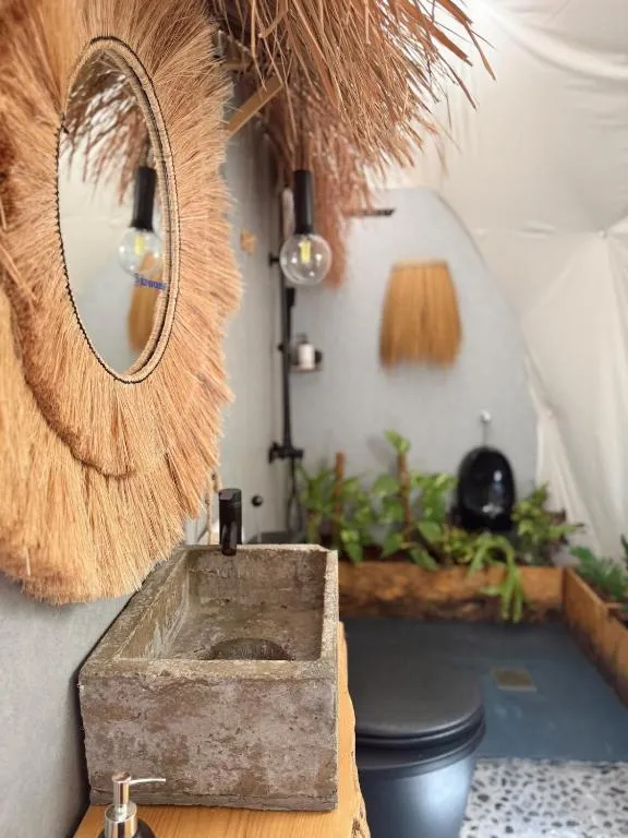 Seed Domo Tarifa