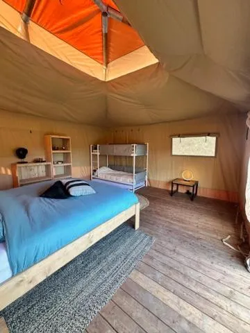 Safari Lodge at Back to Basic