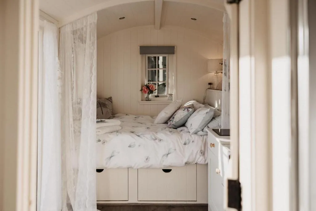 The Dragonfly Shepherds Hut