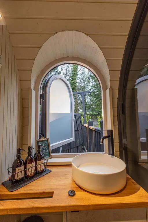 The Forest at Mount Congreve Gardens