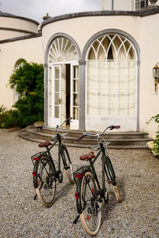 The Forest at Mount Congreve Gardens