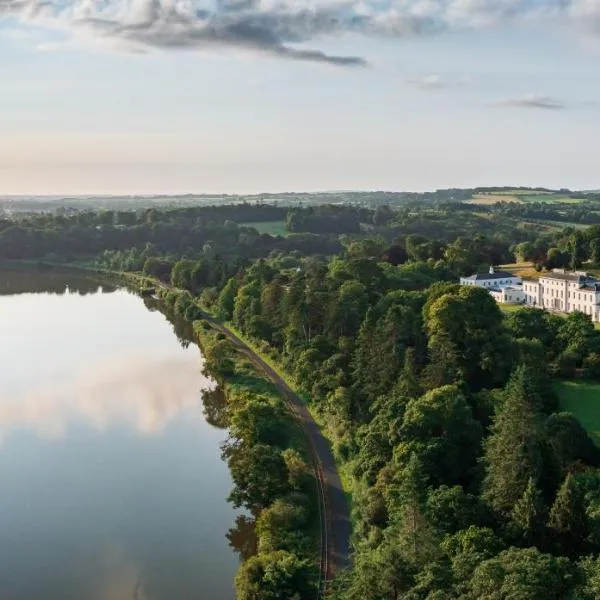 The Forest at Mount Congreve Gardens