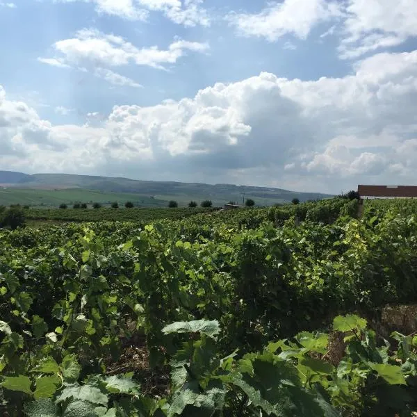 Transylvania WINE