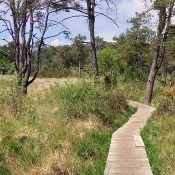 Un morceau de terrain pour ta tente