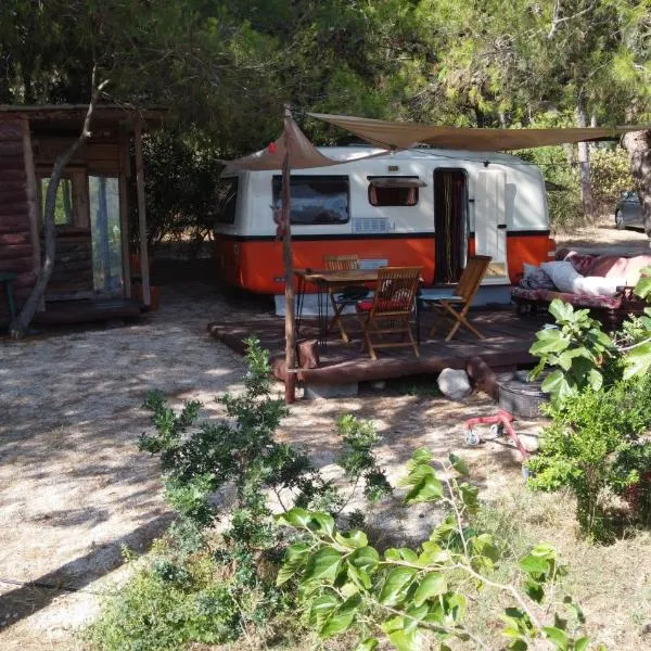 Roulotte Vintage con accesso spiaggia