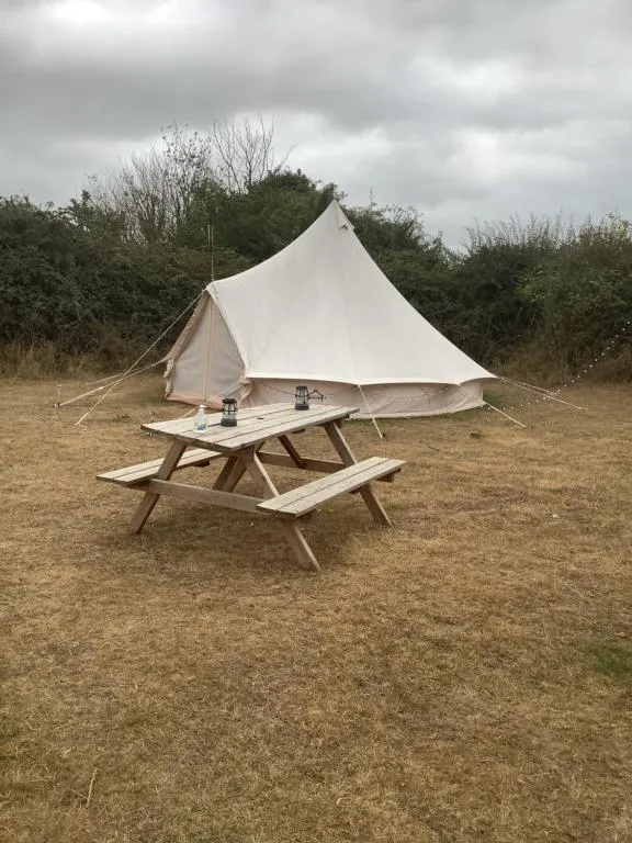 Willowbank farm rare breeds rescue